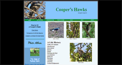 Desktop Screenshot of coopershawks.com