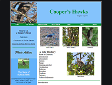 Tablet Screenshot of coopershawks.com